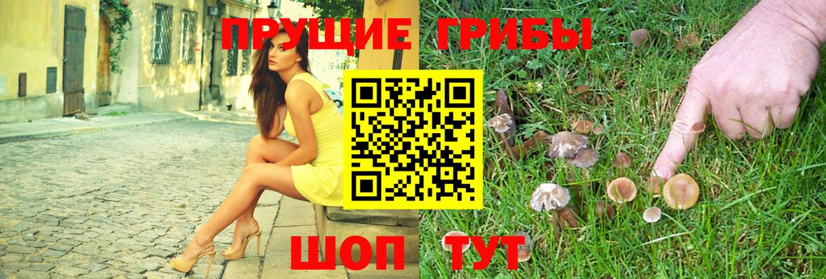 Псилоцибиновые грибы мухоморы Белорецк
